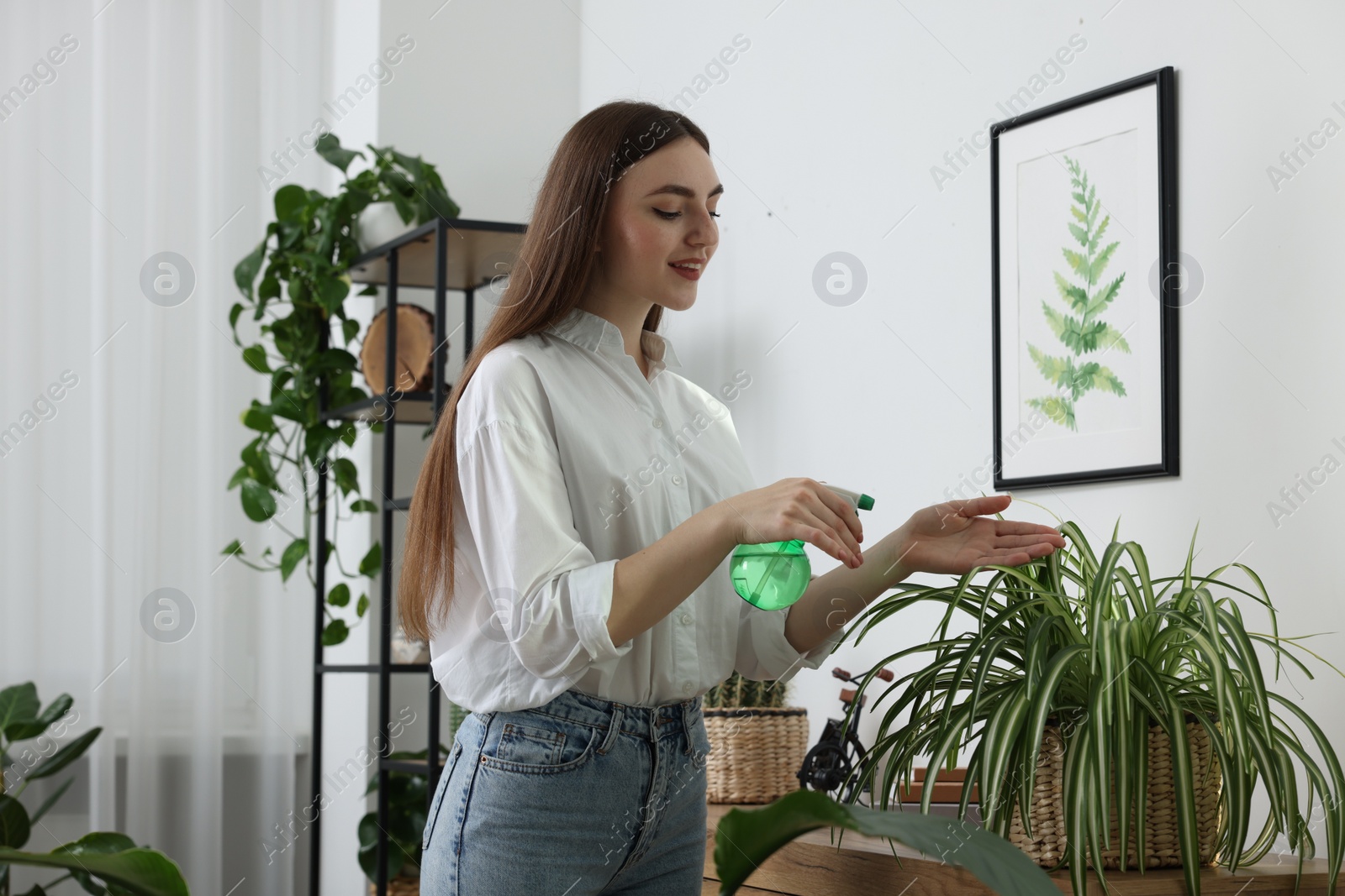 Photo of Beautiful young woman spraying green houseplants at home