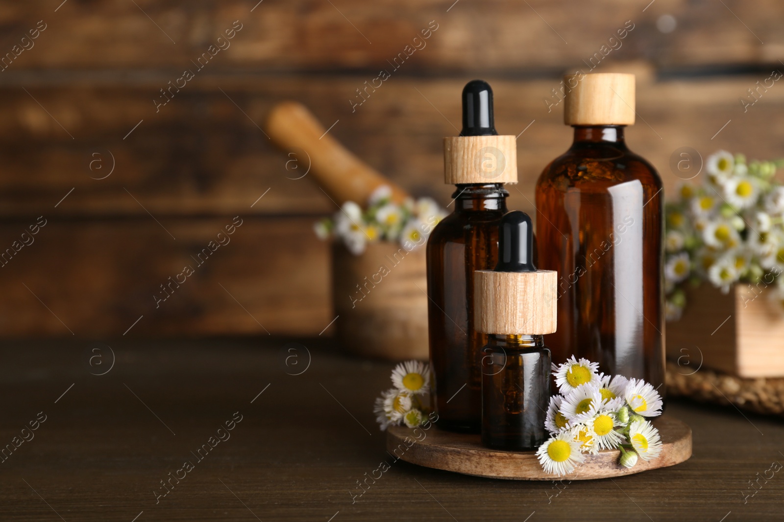 Photo of Bottles of chamomile essential oil and flowers on wooden table, space for text