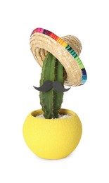 Photo of Cactus with Mexican sombrero hat and fake mustache isolated on white