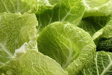 Photo of Fresh Savoy cabbage leaves as background, closeup
