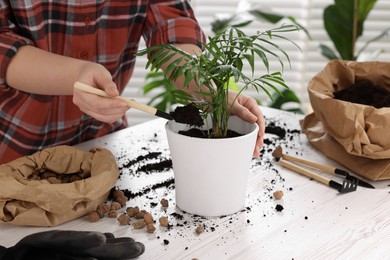 Photo of Woman transplanting houseplant at white table indoors, closeup