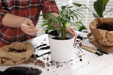 Woman transplanting houseplant at white table indoors, closeup