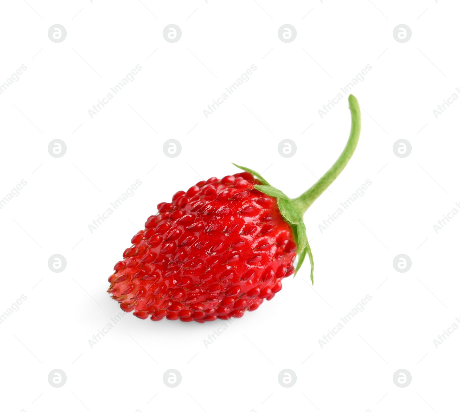 Photo of One ripe wild strawberry isolated on white