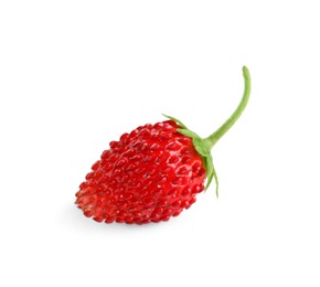 One ripe wild strawberry isolated on white