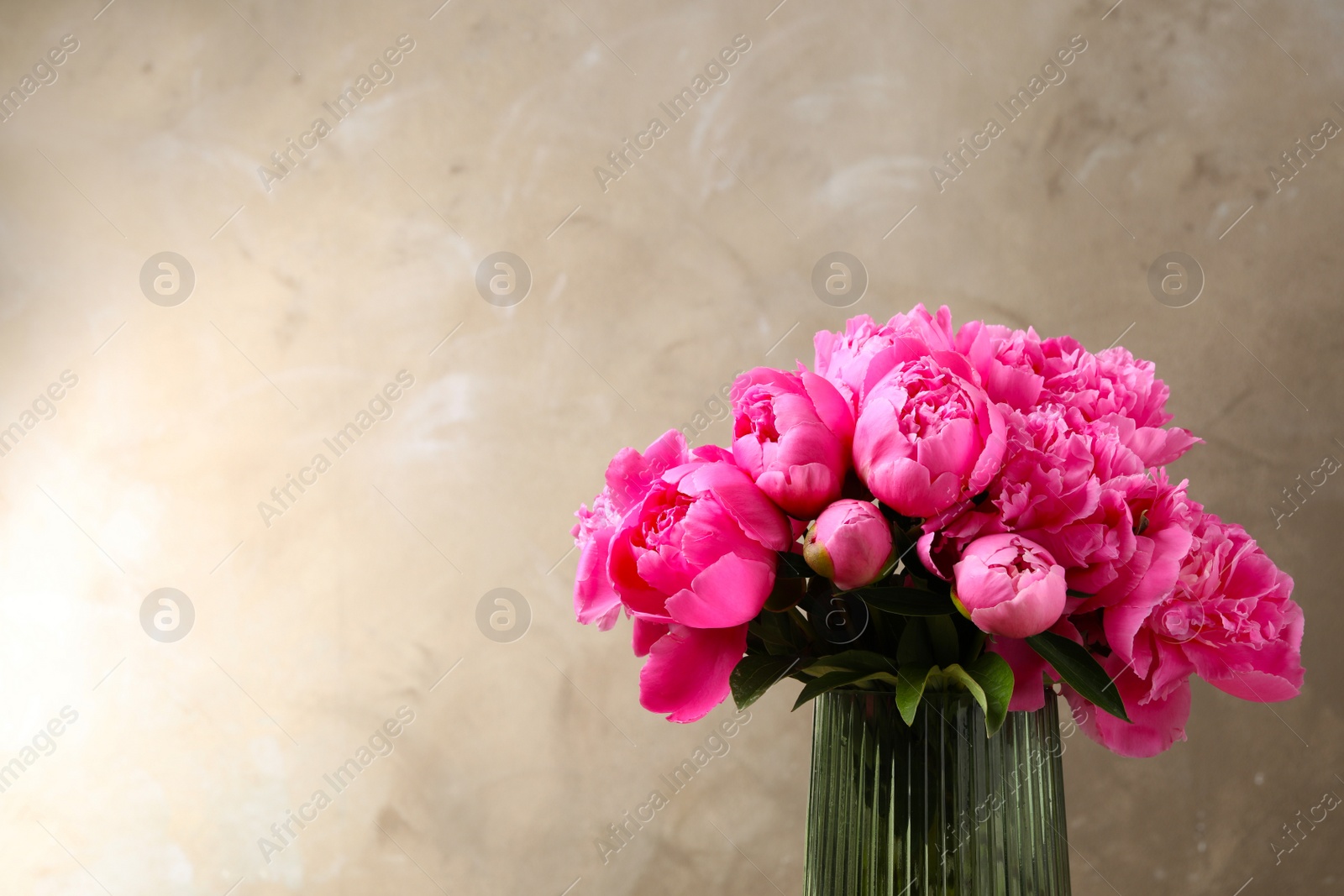 Photo of Beautiful peony bouquet in vase on grey background. Space for text