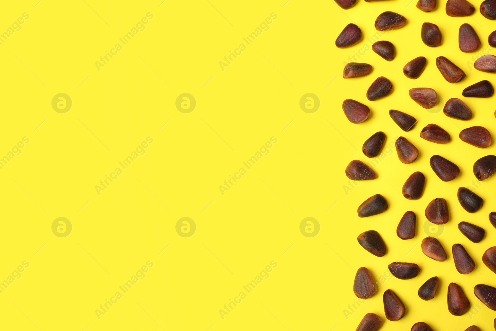 Photo of Many pine nuts in shell and space for text on color background, top view