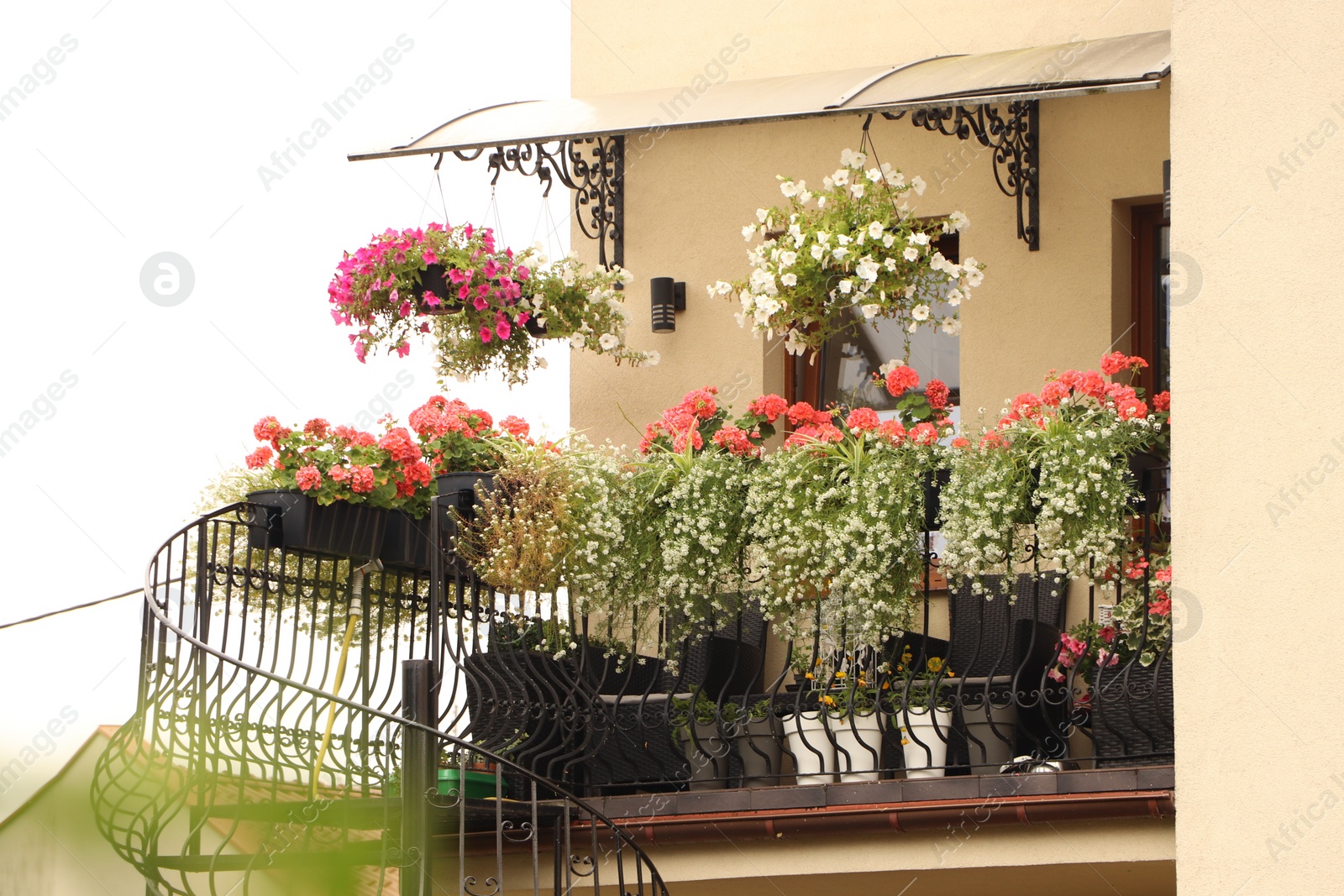 Photo of Balcony decorated with beautiful blooming potted flowers and stairs