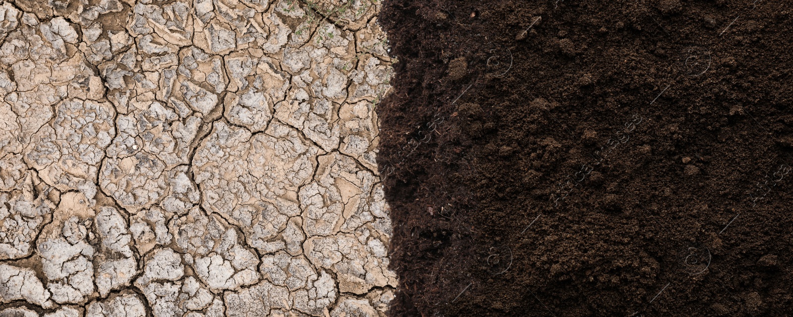 Image of Dry cracked ground and fertile soil, banner design