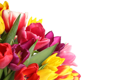 Beautiful bright spring tulips on white background