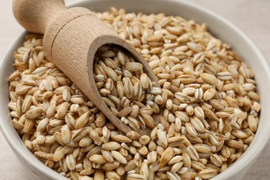 Photo of Dry pearl barley in bowl and scoop on table, closeup