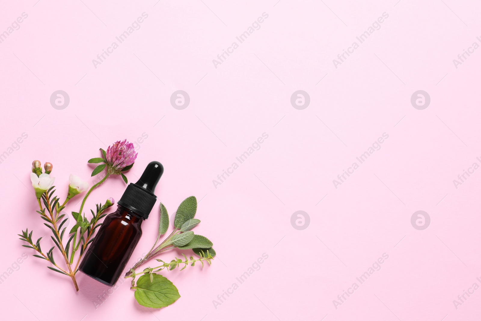 Photo of Bottle of essential oil, different herbs and flowers on pink background, flat lay. Space for text