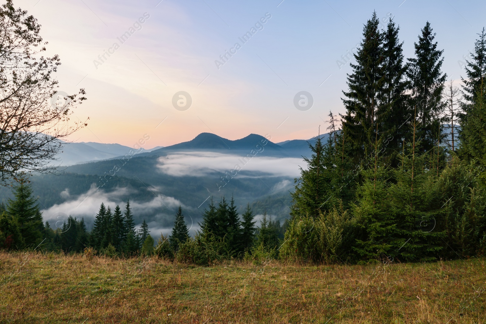 Photo of Amazing view of beautiful mountain landscape covered with fog