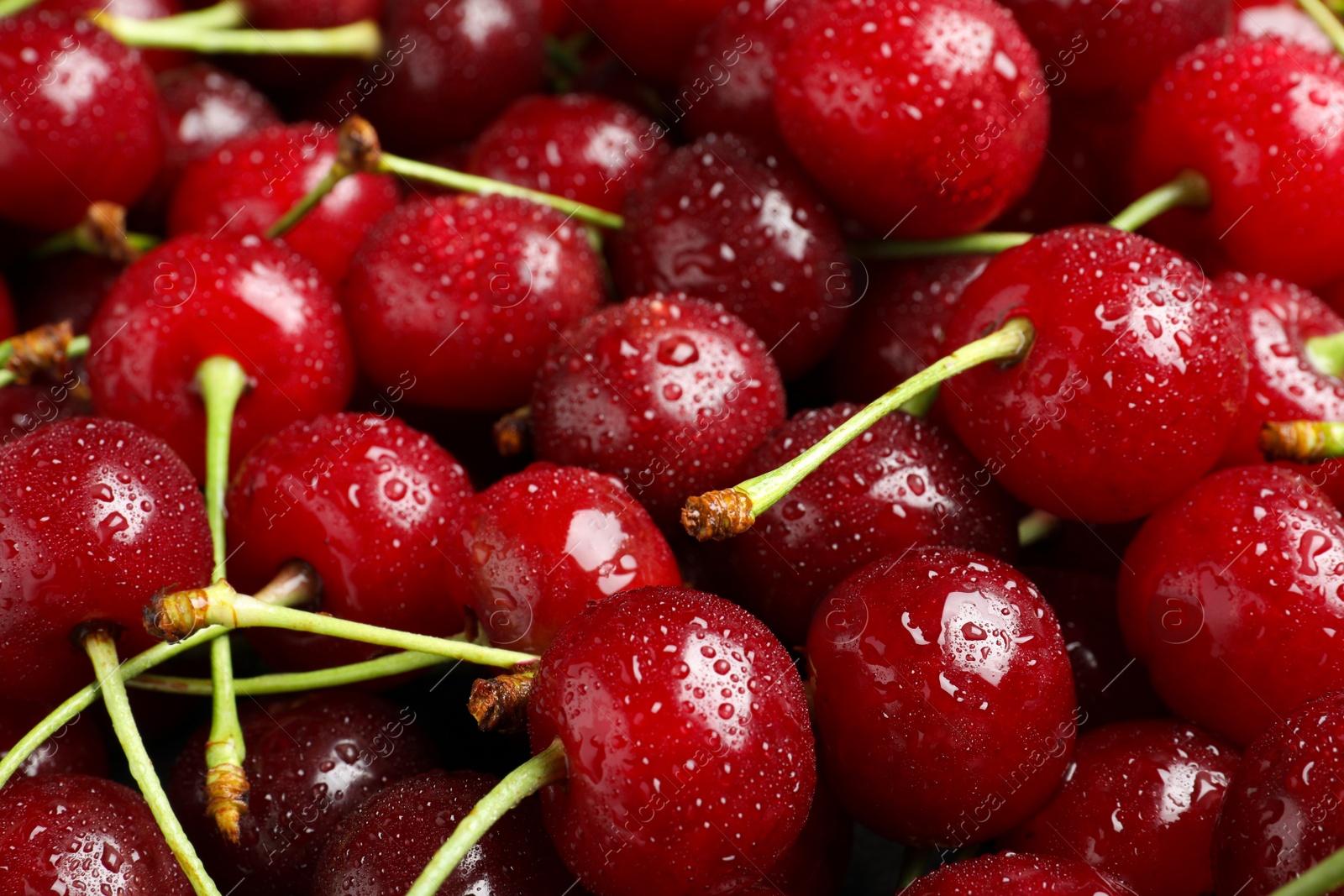 Photo of Sweet red cherries with water drops as background, closeup