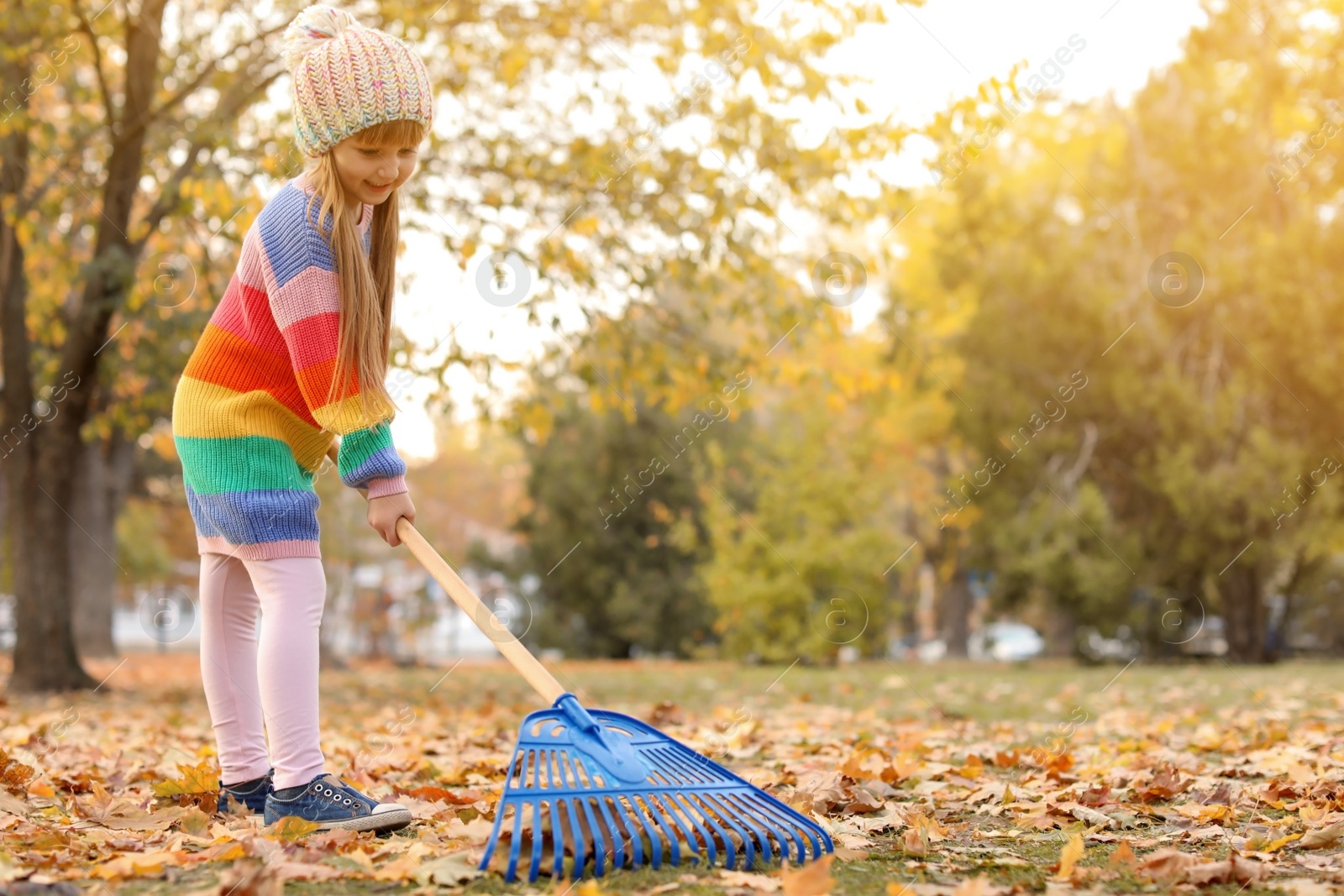 Photo of Cute girl cleaning fallen leaves with rake, outdoors. Autumn work