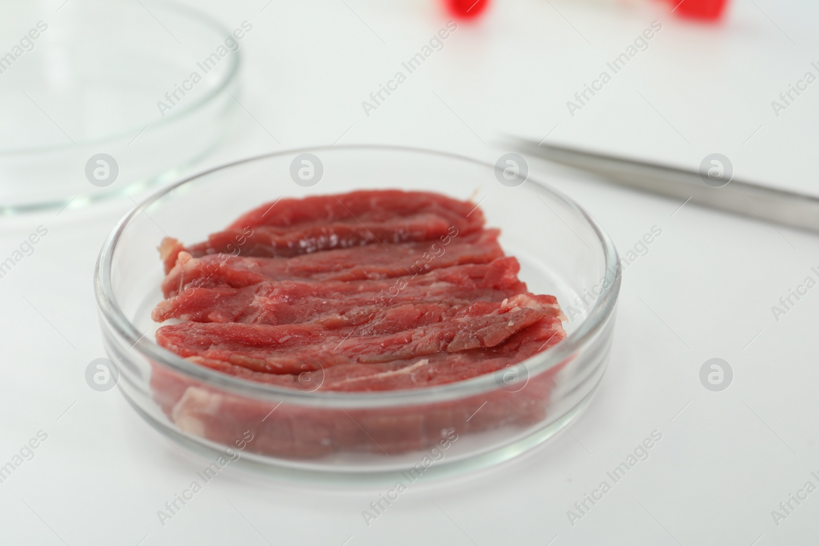 Photo of Petri dish with pieces of raw cultured meat on white table, closeup