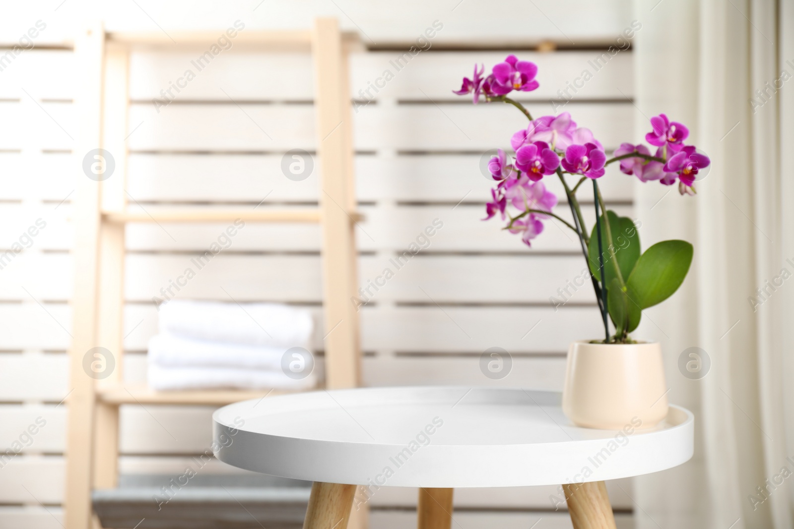 Photo of Flowerpot with blooming orchid on table indoors, space for text