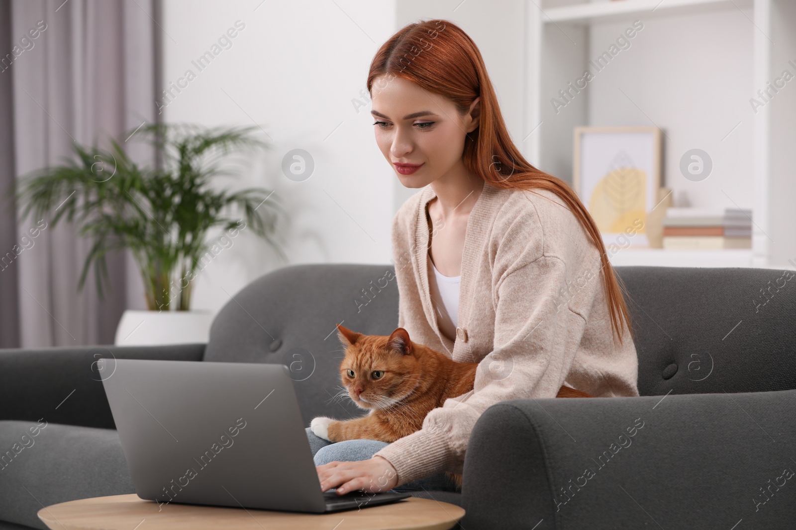 Photo of Woman with cat working on sofa at home