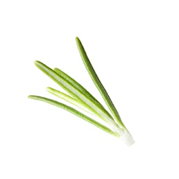 Photo of Fresh green rosemary leaves on white background