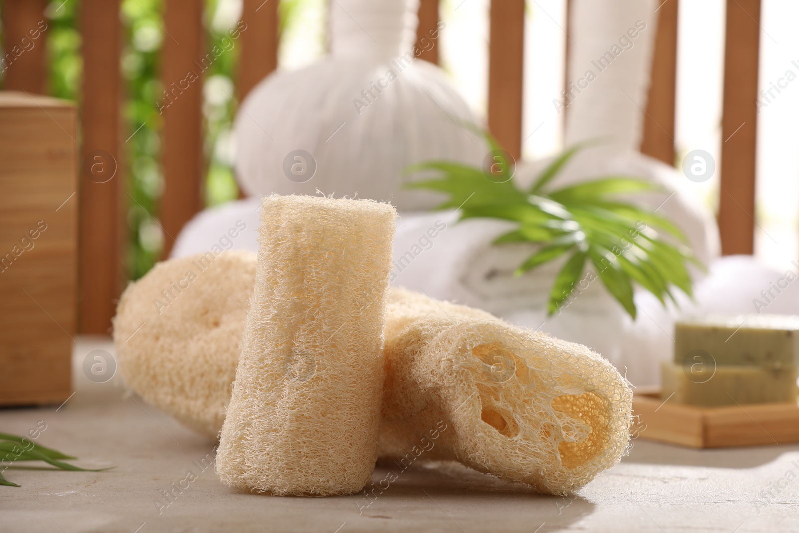 Photo of Natural loofah sponges on grey textured table