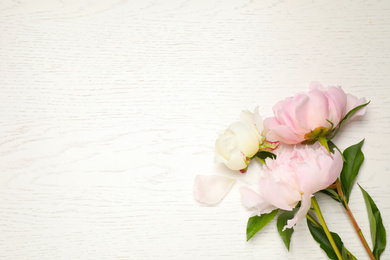 Photo of Beautiful blooming peonies on white wooden table, flat lay. Space for text