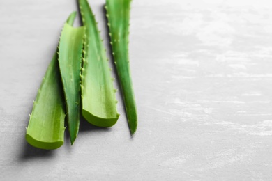 Photo of Fresh aloe vera leaves and space for text on light background