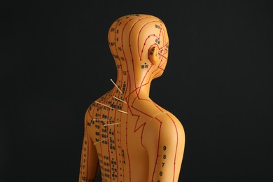 Photo of Acupuncture - alternative medicine. Human model with needles in back against black background