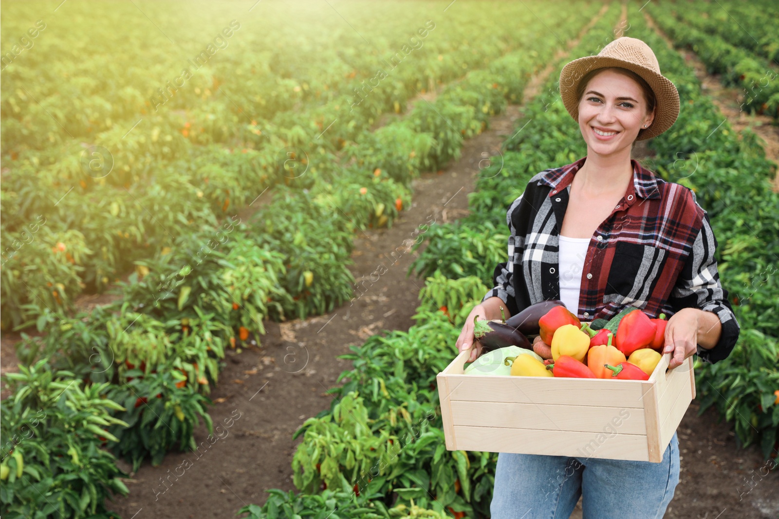 Photo of Farmer with wooden crate full of different vegetables in field. Harvesting time