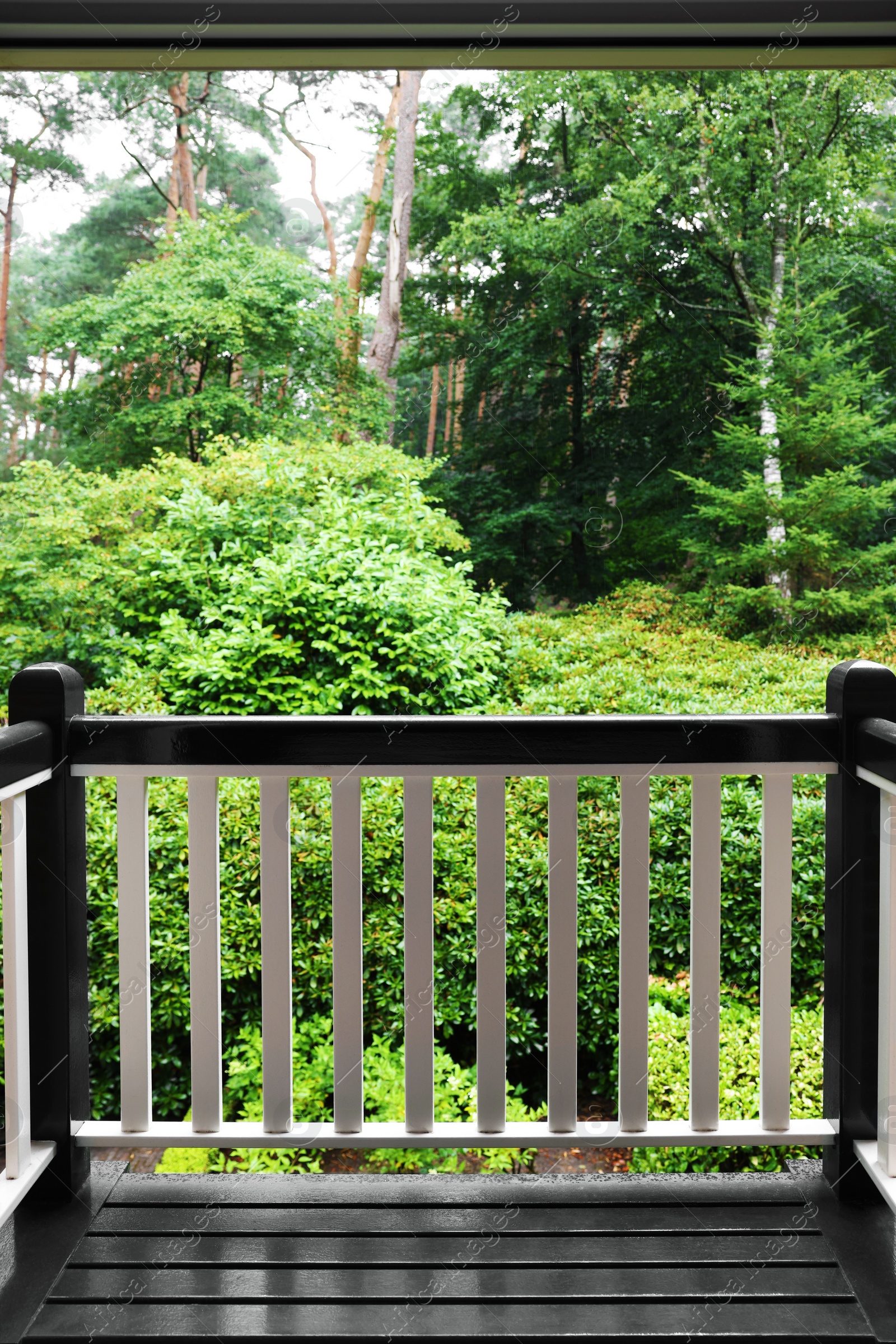 Photo of Beautiful forest with many different green plants, view from balcony