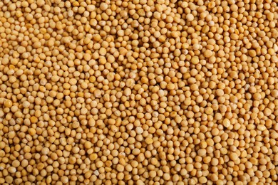 Photo of Aromatic mustard seeds as background, top view