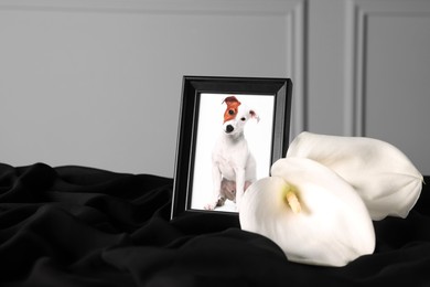 Photo of Frame with picture of dog and calla flowers on black cloth. Pet funeral