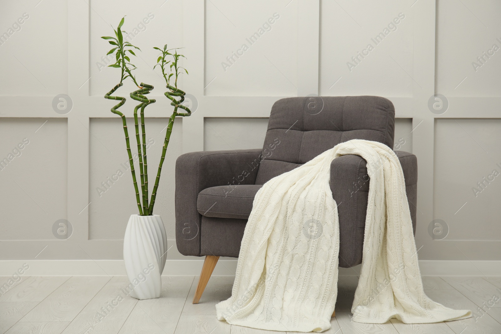 Photo of Vase with green bamboo stems on floor and armchair in room. Interior design