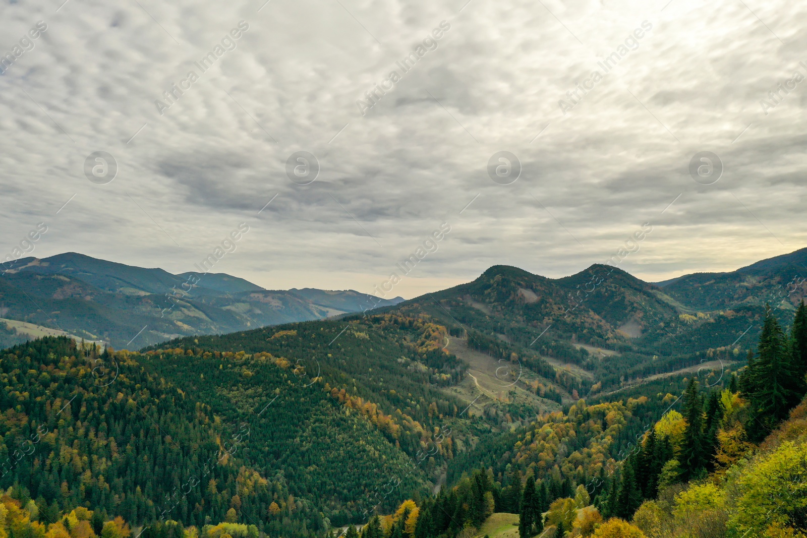 Photo of Aerial view of beautiful mountain forest on autumn day