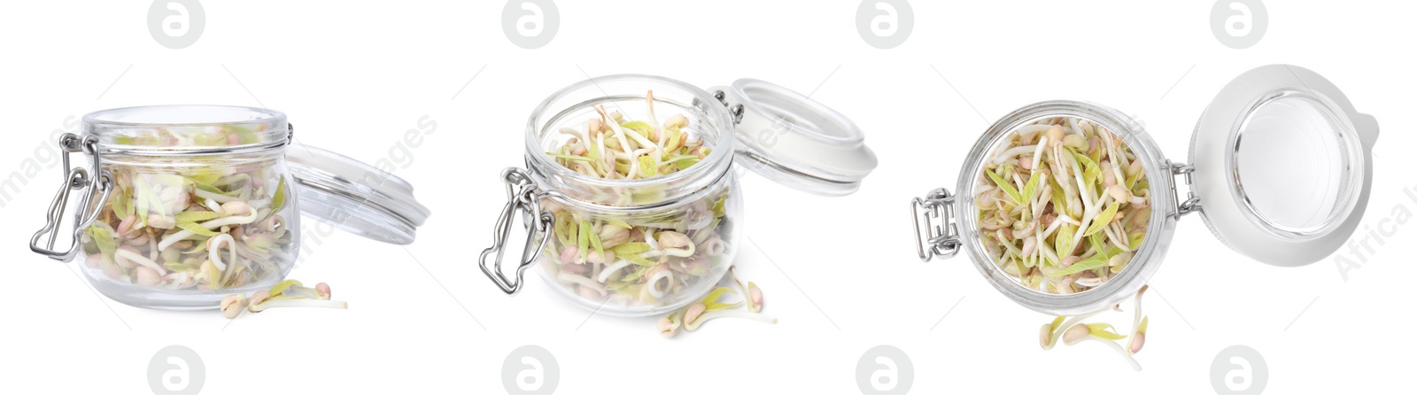 Image of Many mung bean sprouts in glass jar on white background, different sides