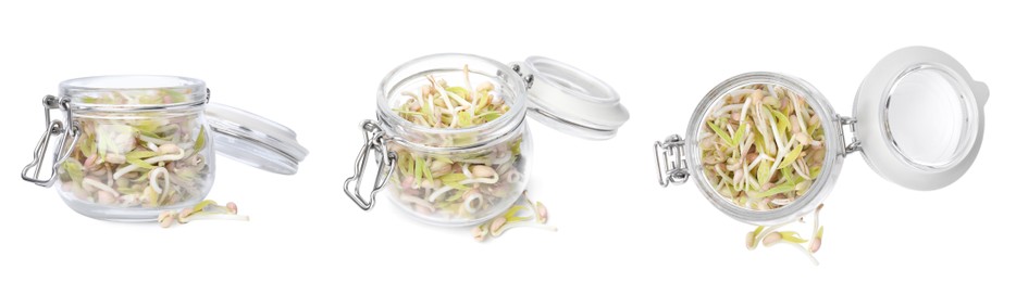 Many mung bean sprouts in glass jar on white background, different sides