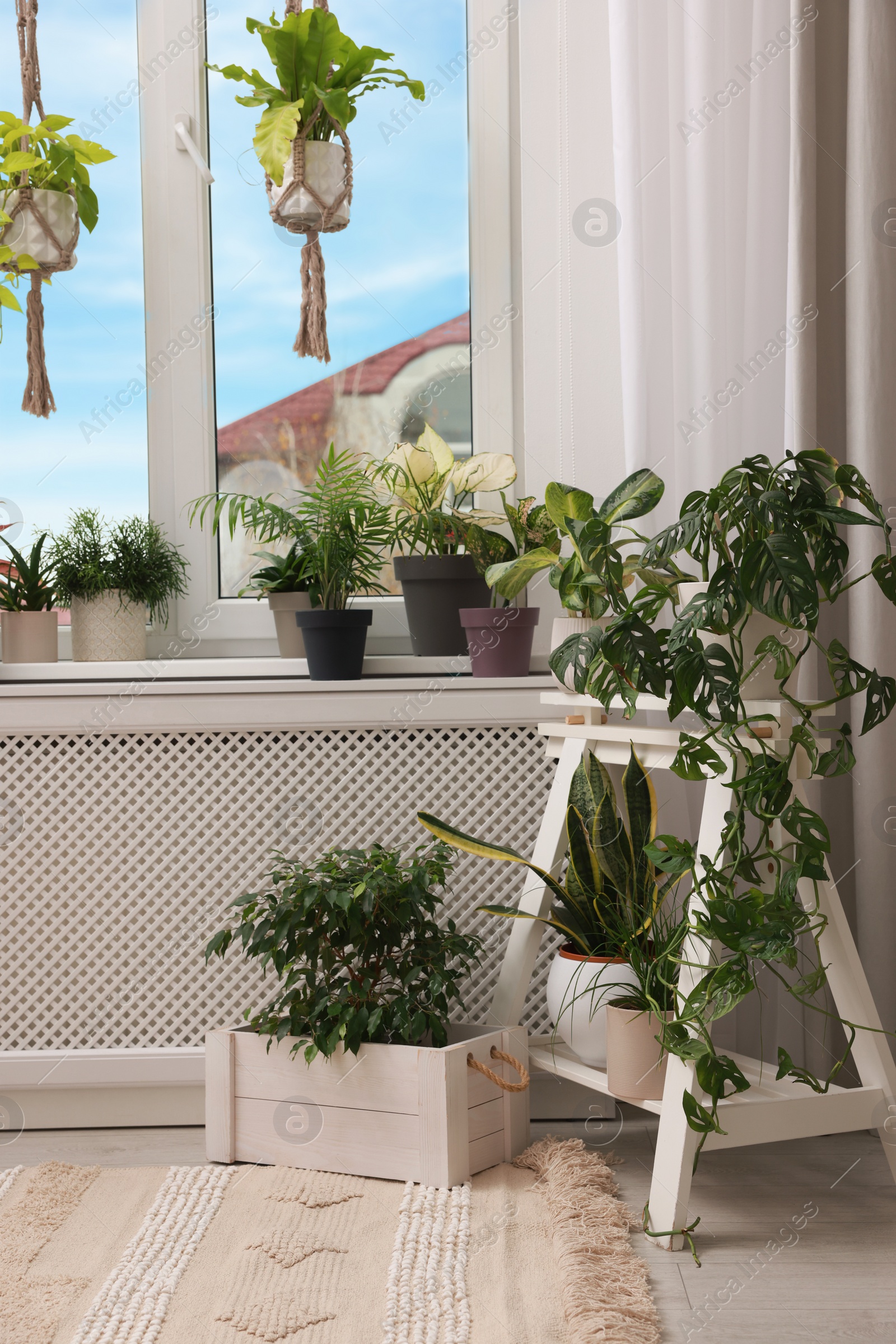 Photo of Cozy room interior with different beautiful houseplants near window