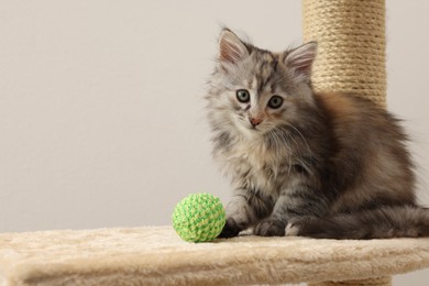 Photo of Cute fluffy kitten with ball on cat tree against light background, space for text