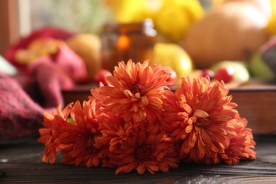 Beautiful orange chrysanthemum flowers on wooden table, closeup