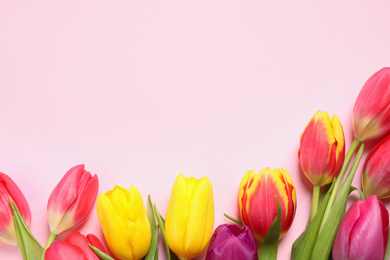 Photo of Beautiful spring tulips on pink background, flat lay. Space for text