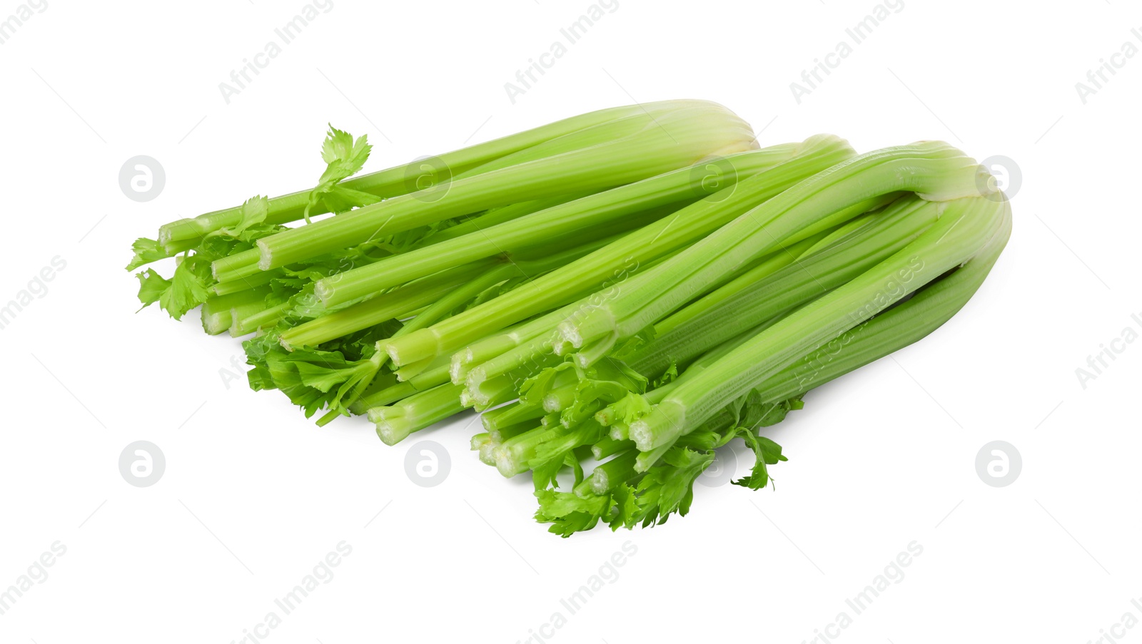 Photo of Fresh green celery bunches isolated on white