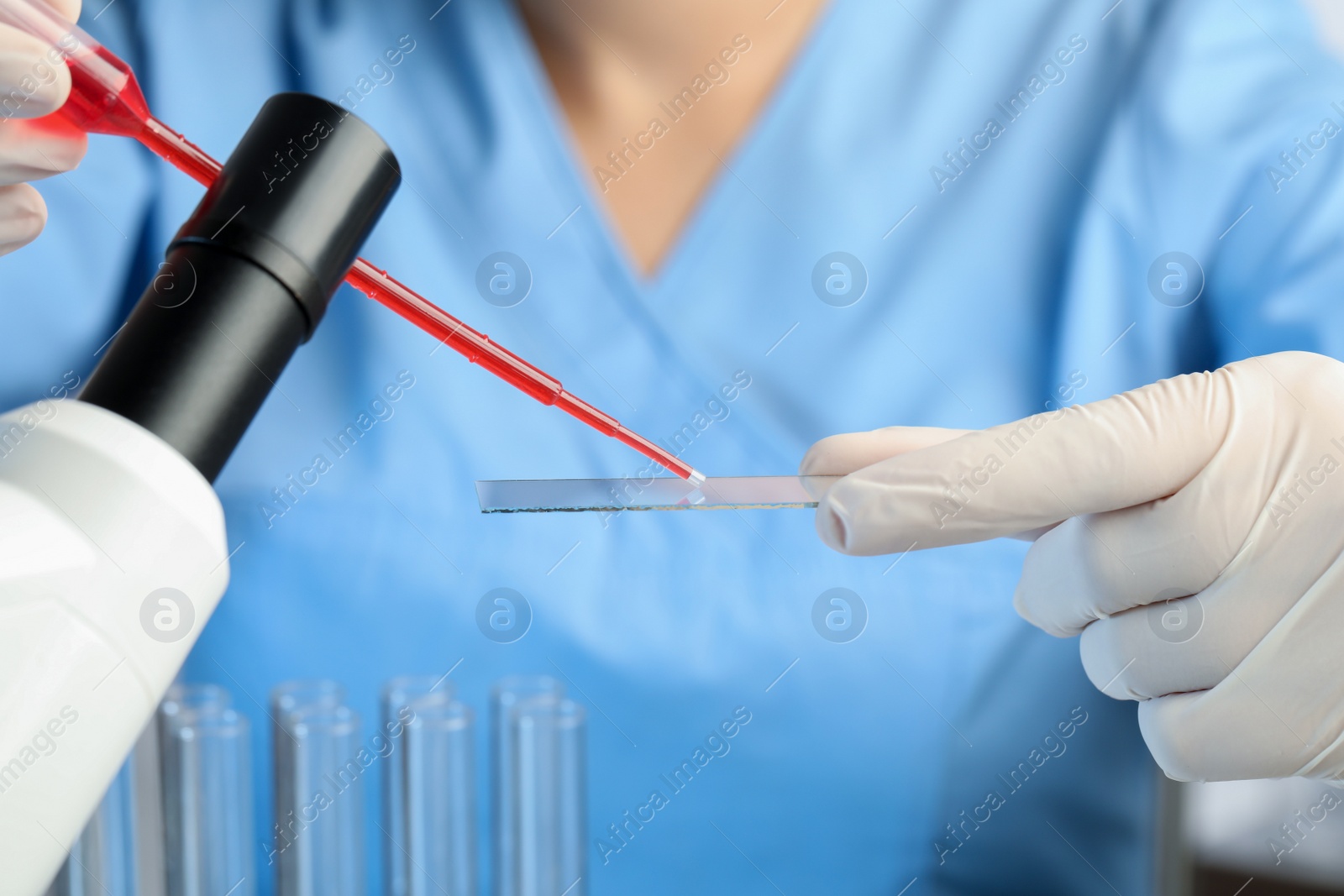 Photo of Scientist dripping sample of red liquid onto microscope slide in laboratory, closeup
