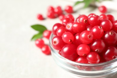 Fresh cranberry in bowl on light table, closeup. Space for text