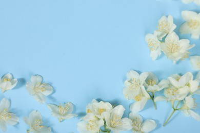 Photo of Beautiful jasmine flowers on light blue background, flat lay. Space for text