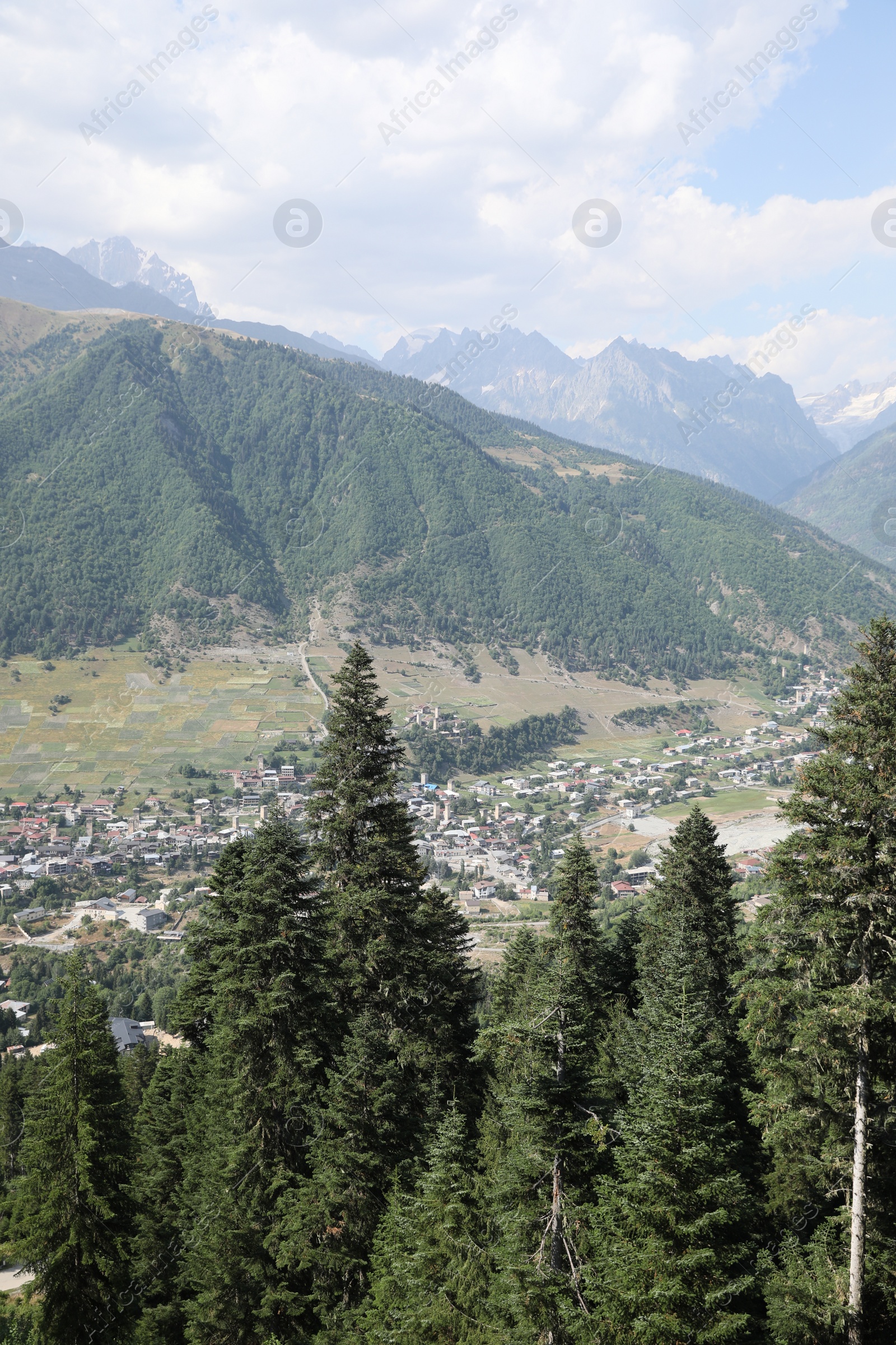 Photo of Beautiful mountain landscape with spruce trees on sunny day