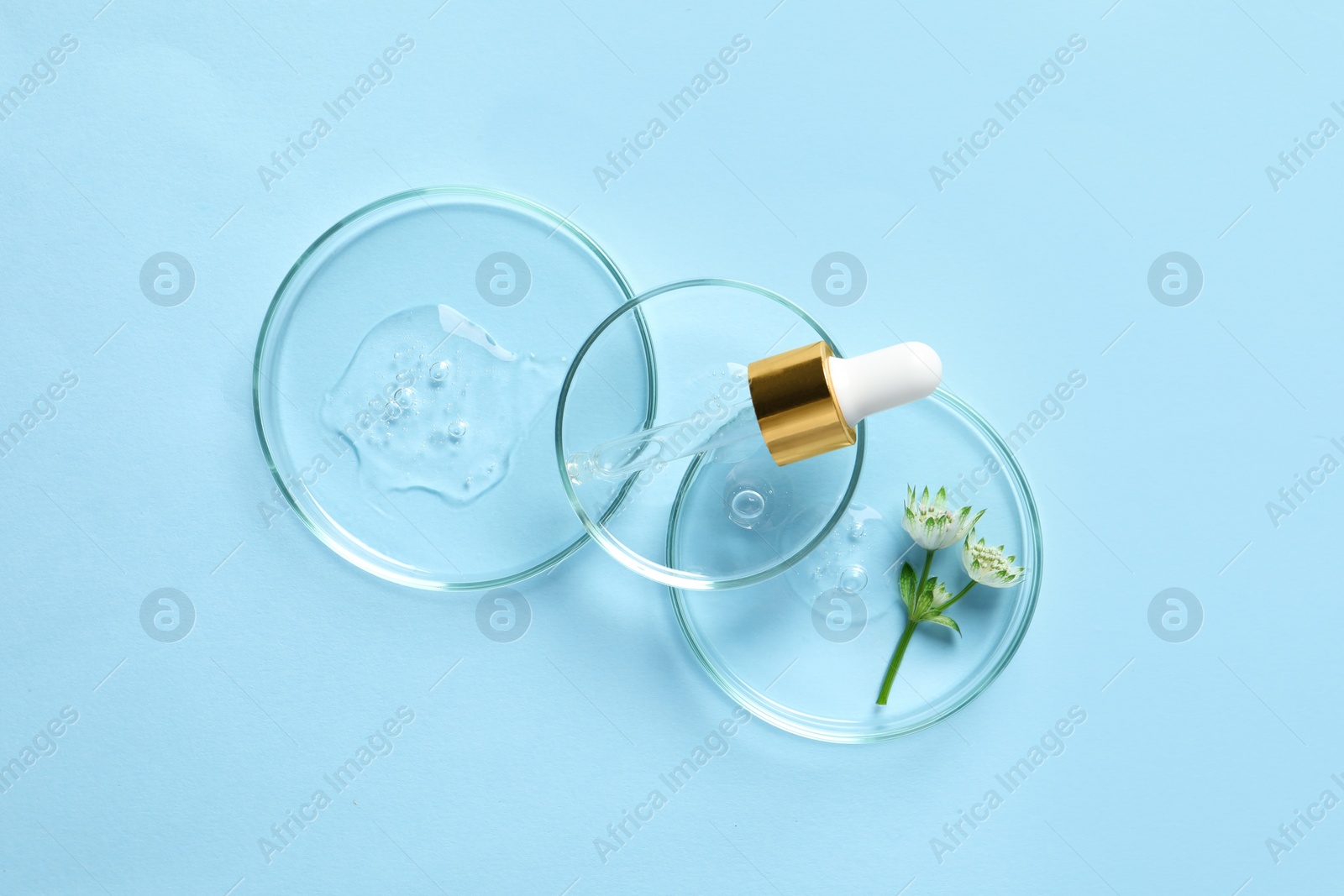 Photo of Petri dishes with samples of cosmetic oil, pipette and beautiful flowers on light blue background, flat lay