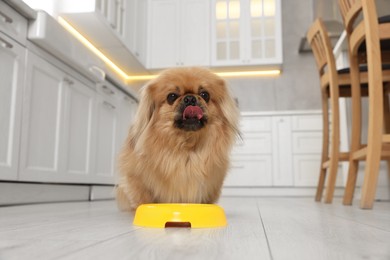 Photo of Cute Pekingese dog near pet bowl in kitchen