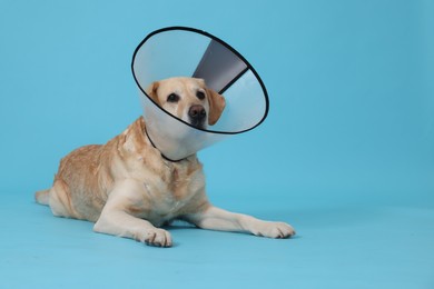 Photo of Cute Labrador Retriever with protective cone collar on light blue background. Space for text