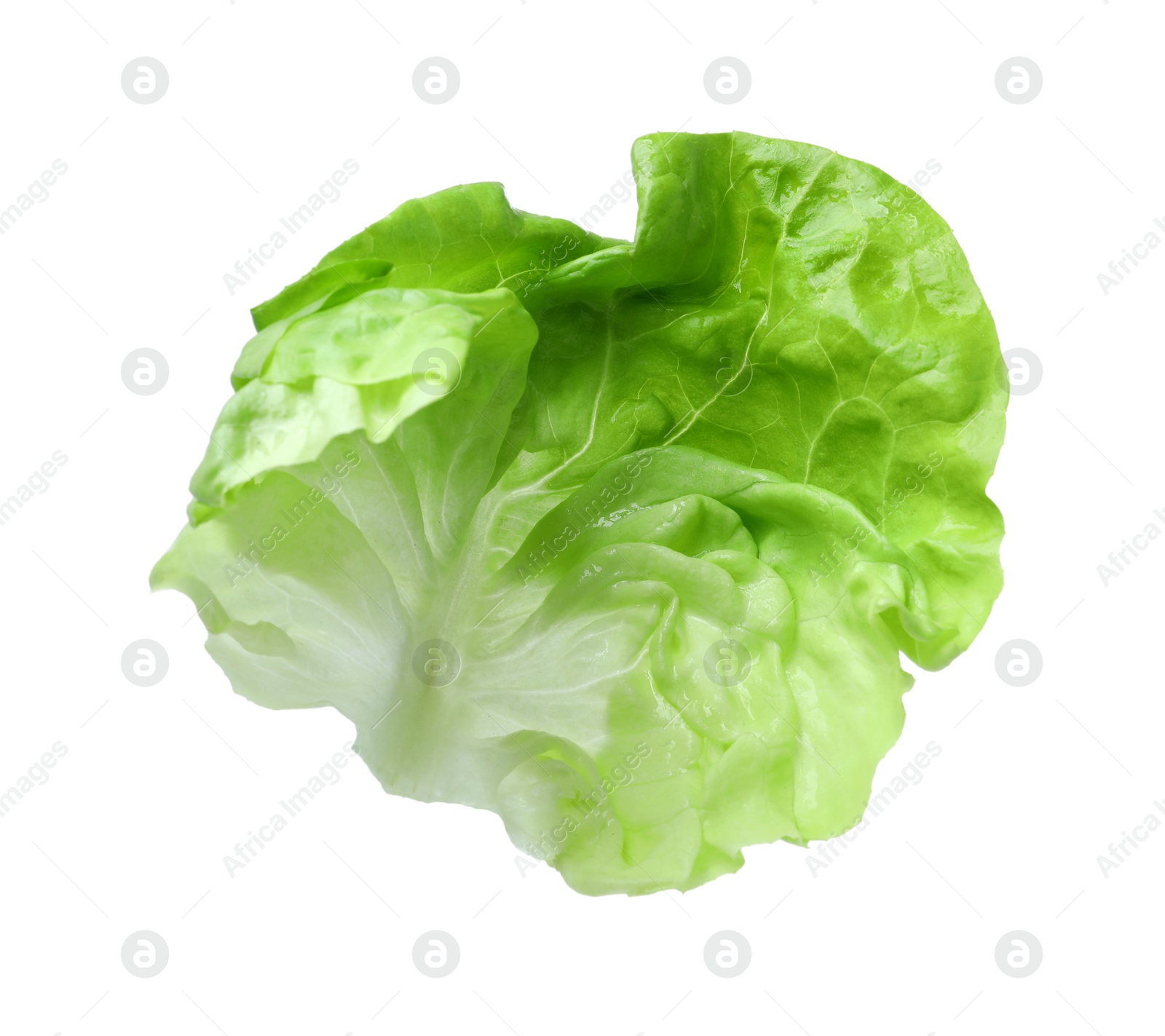 Photo of Fresh leaf of green butter lettuce isolated on white