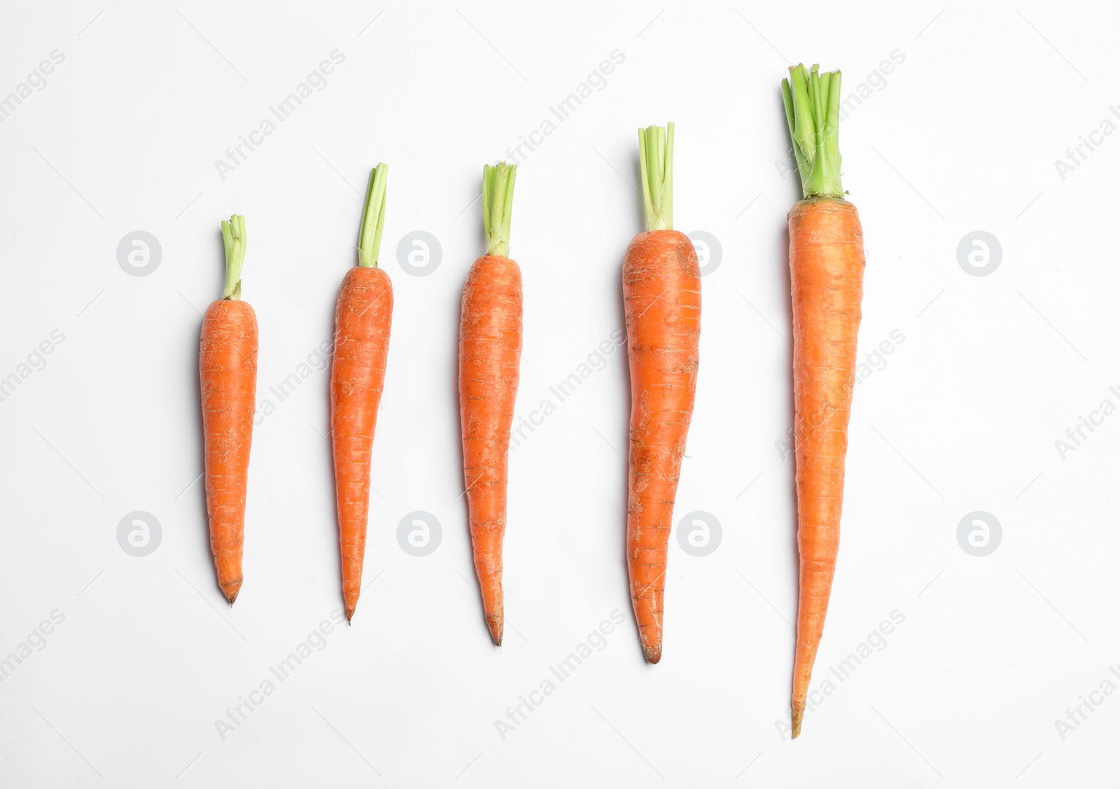 Photo of Ripe carrots isolated on white, top view