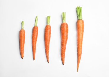 Photo of Ripe carrots isolated on white, top view