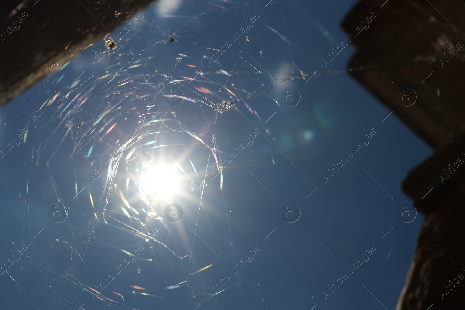 Photo of Cobweb against blue sky outdoors on sunny day, bottom view